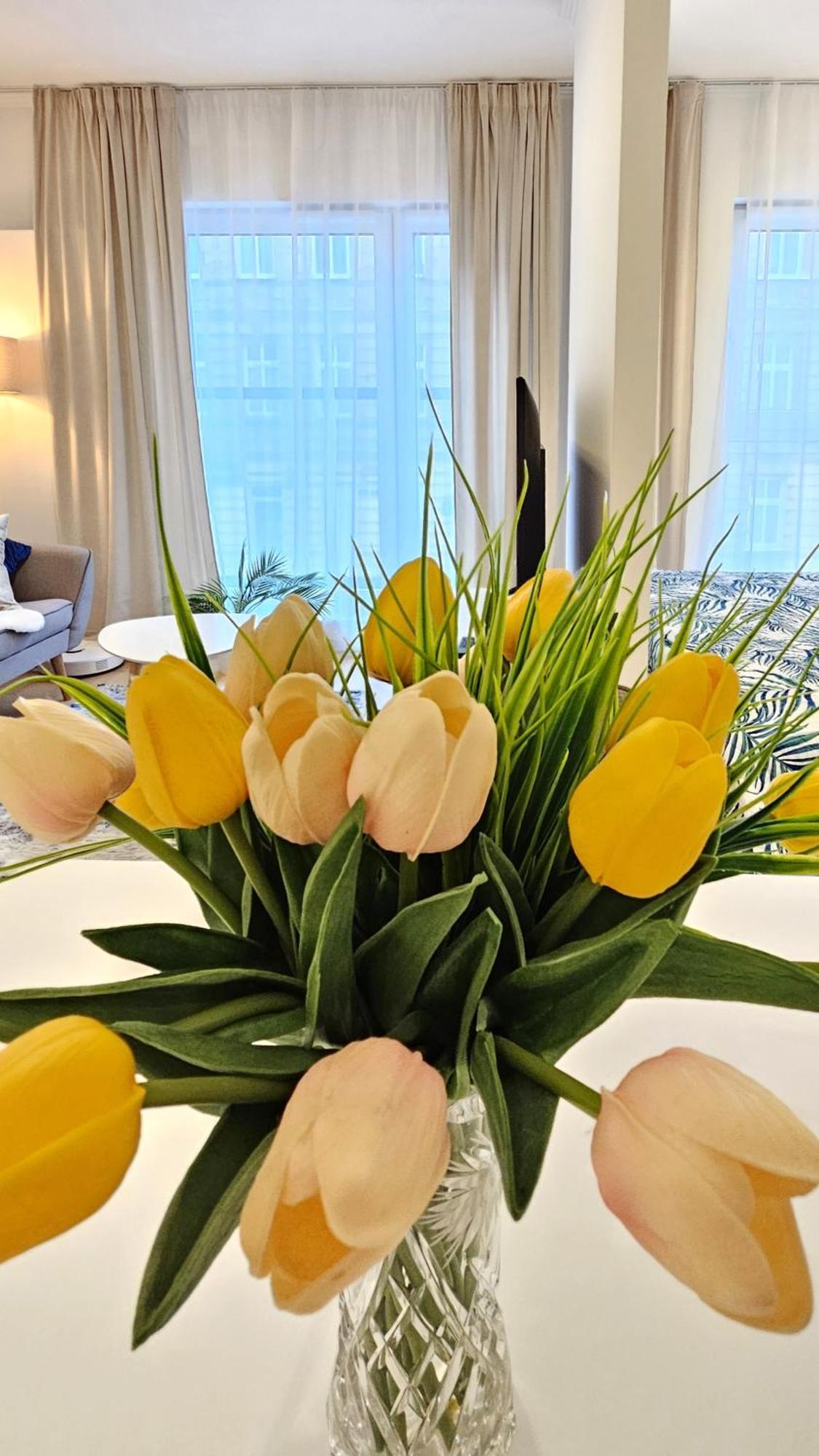 Blekitna Kotwica Apartament Szczecin